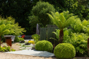 Les vivaces dans votre jardin : guide pour un massif durable